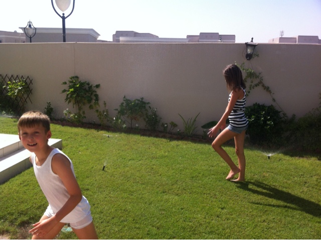 En følelsesmæssig rutschebanetur?