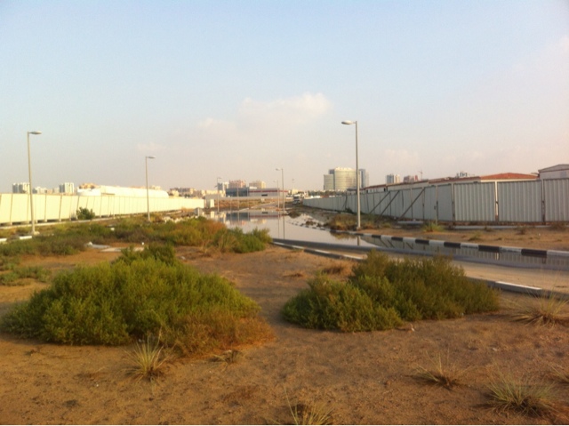 Oversvømmelse og aften i Book World