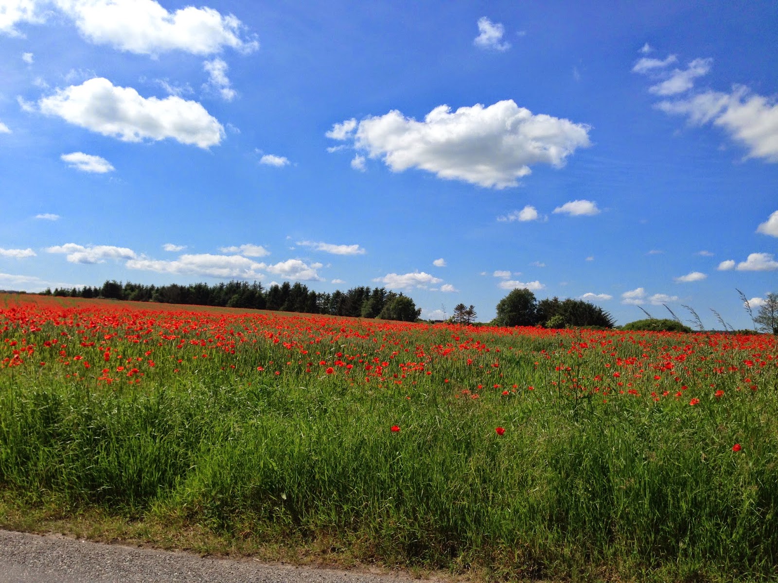 Sommerferien venter lige om hjørnet