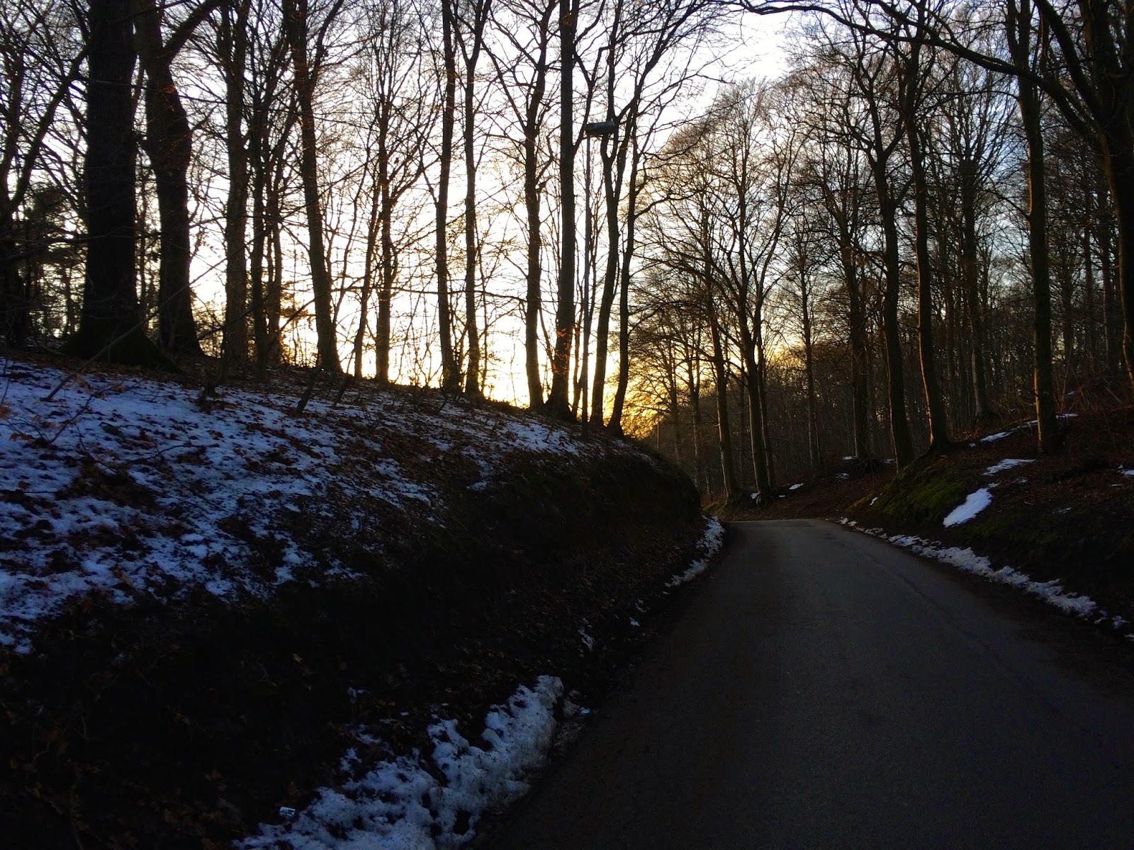 I Danmark – og Kinesisk nytår i næste uge