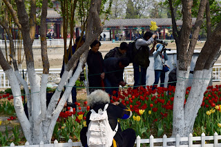 Forår – og frisk luft