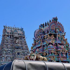 Nye oplevelser venter