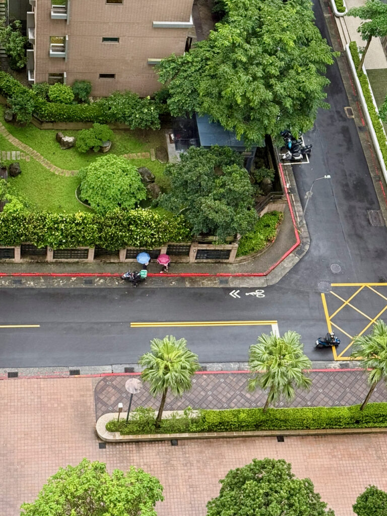 Taiwan-nødvendigheder